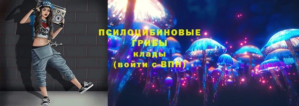 прущие грибы Алексеевка