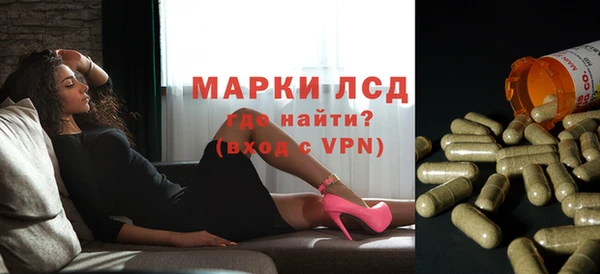 прущие грибы Алексеевка