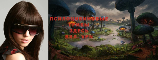 МДПВ Абинск