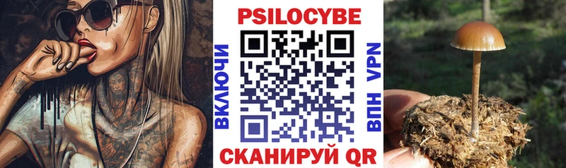 shop клад Орск Псилоцибиновые грибы GOLDEN TEACHER